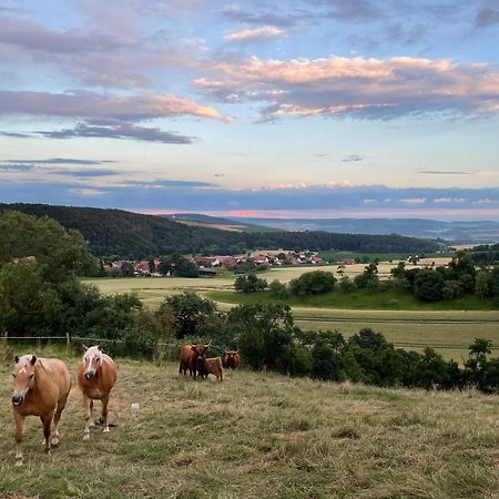 Appartamento Haus Landlust Edersee Esterno foto