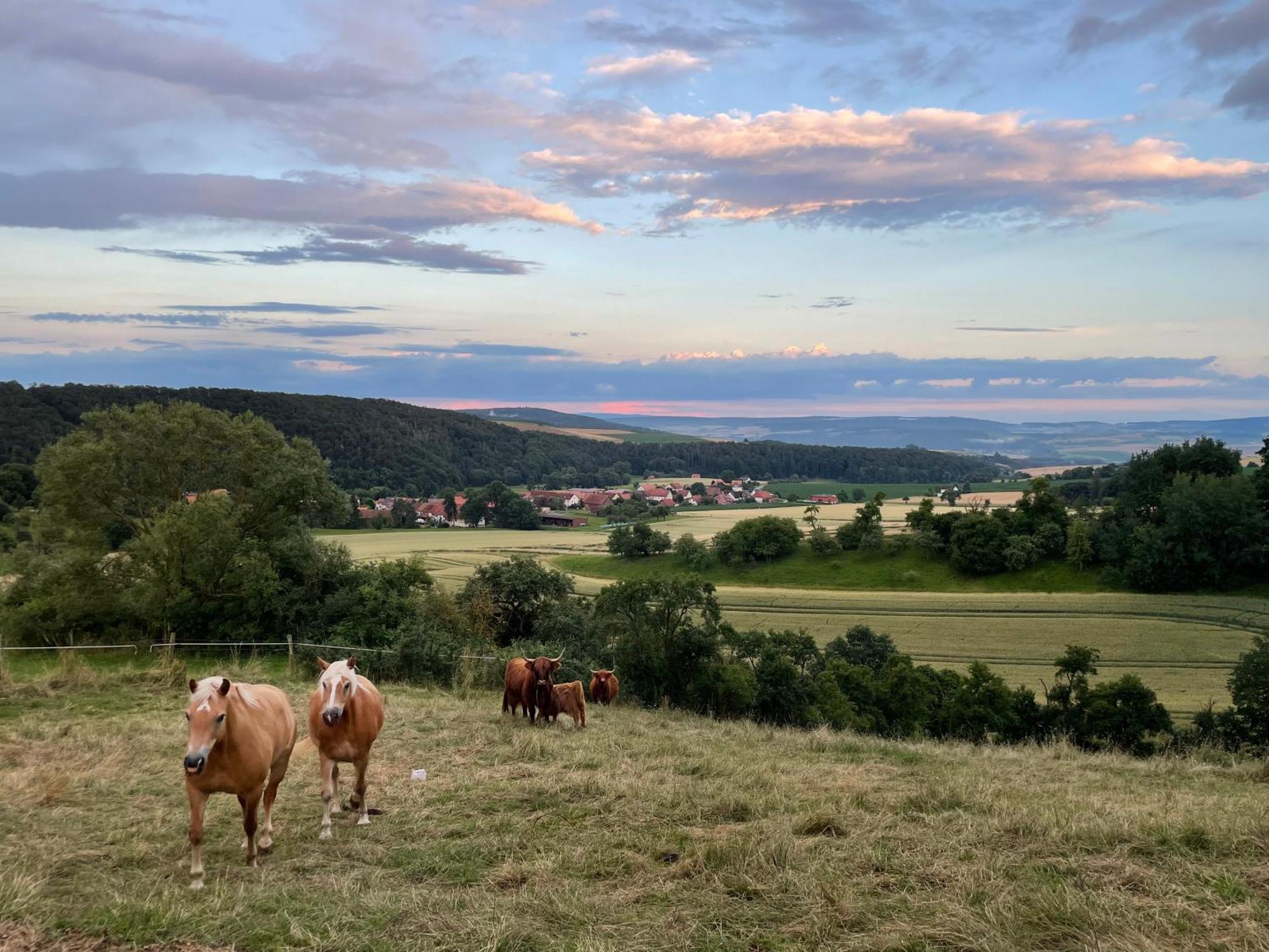 Appartamento Haus Landlust Edersee Esterno foto